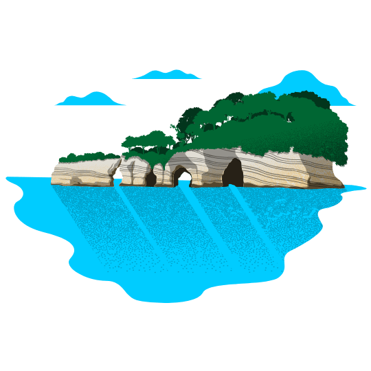 水辺