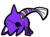 イルカ